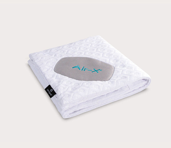 Bedgear DriTec with AirX Pillow Protector City Mattress