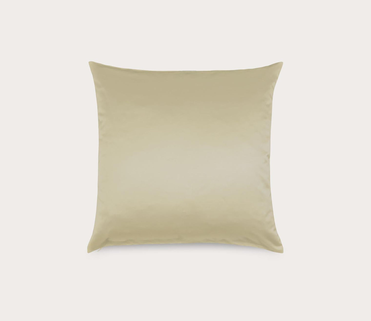 Duchess Solid Satin Throw Pillow by Ann Gish