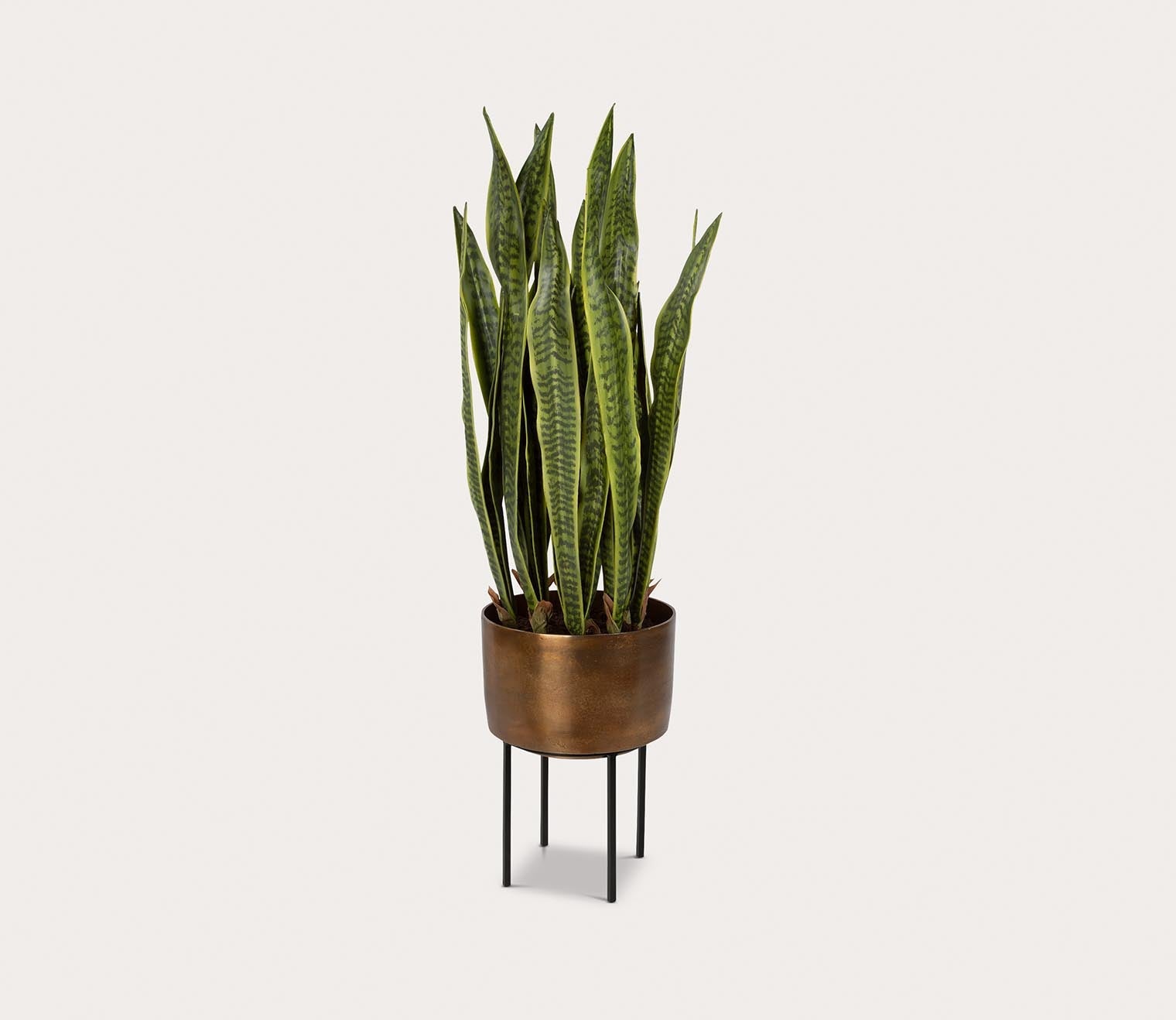 brass plant pot Uttermost Fasita Brass Planter– City Mattress