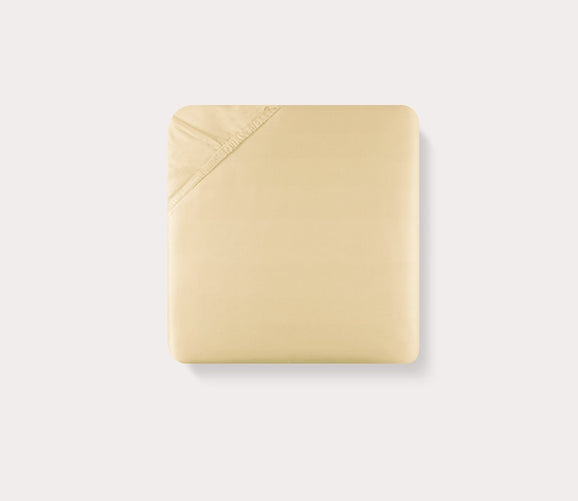 Giotto Cotton Fitted Sheet by Sferra