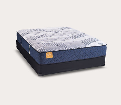 Golden Elegance Etherial Plush Mattress by Sealy