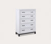 Hyde Park 5-Drawer Chest by Aspen Home