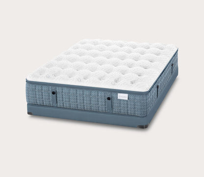 Luxetop M2+ Plush Mattress by Aireloom