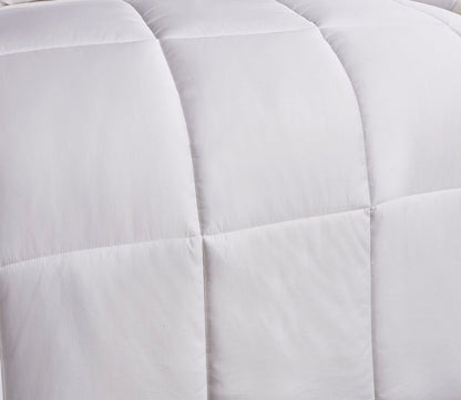 Naples Cotton Sateen Down Alternative Comforter by Blue Ridge Home Fashions