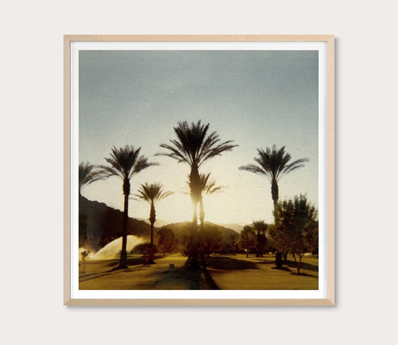 Palm Trees Digital Print by Grand Image Home