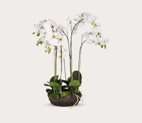 Phaleanopsis 31.5'' Faux Bowl Plant by Napa Home & Garden