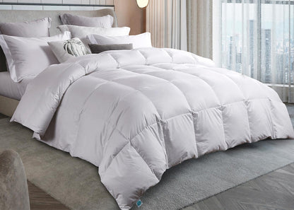 Premium White Down Comforter by Martha Stewart