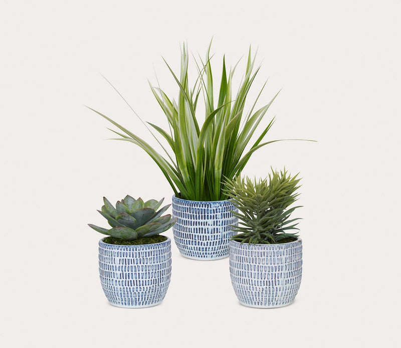 Uttermost Puebla Greenery Set of 3 - Image 5