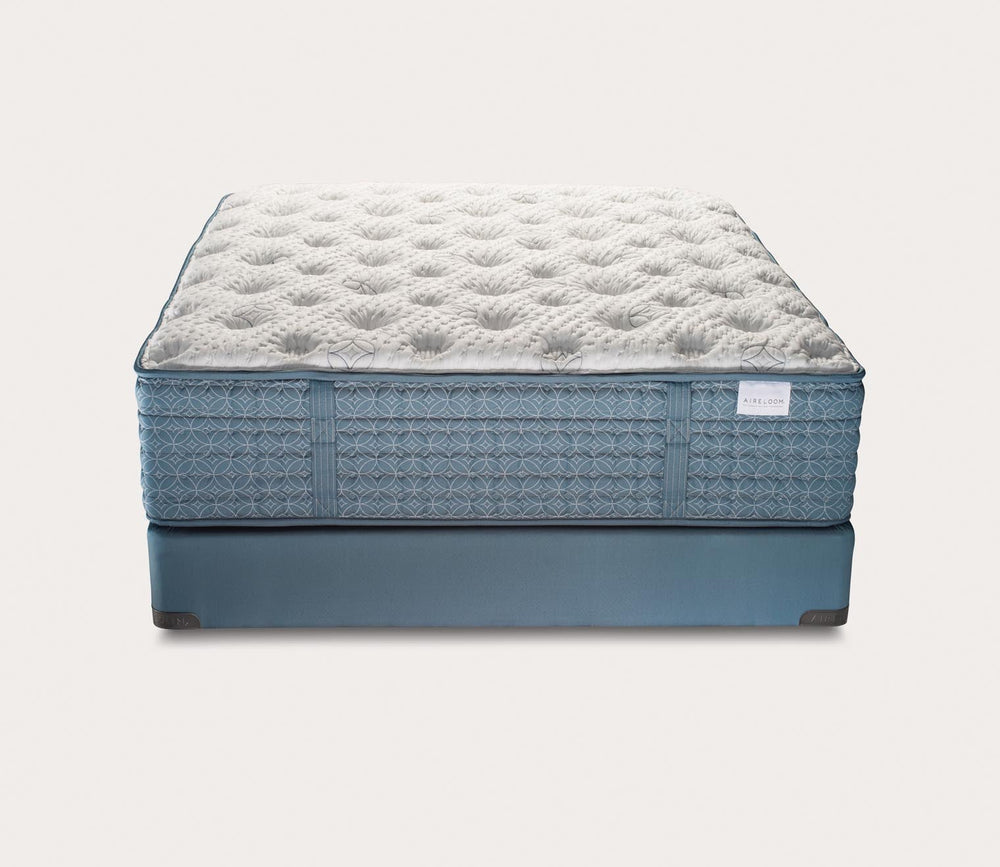 Streamline Luxury Firm Mattress by Aireloom