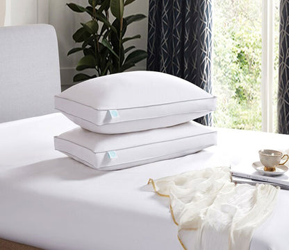 White Feather and Down Pillow 2-Pack by Martha Stewart